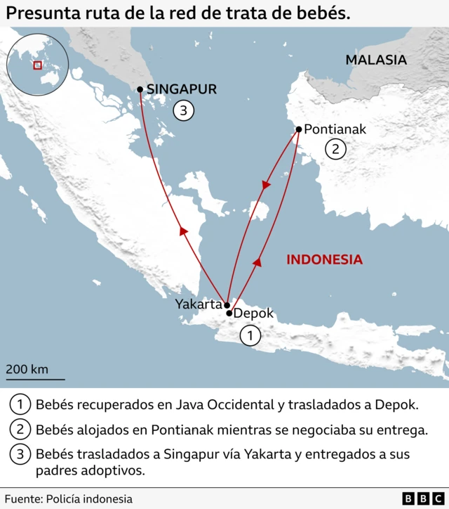 Mapa que describe el tránsito de los bebés