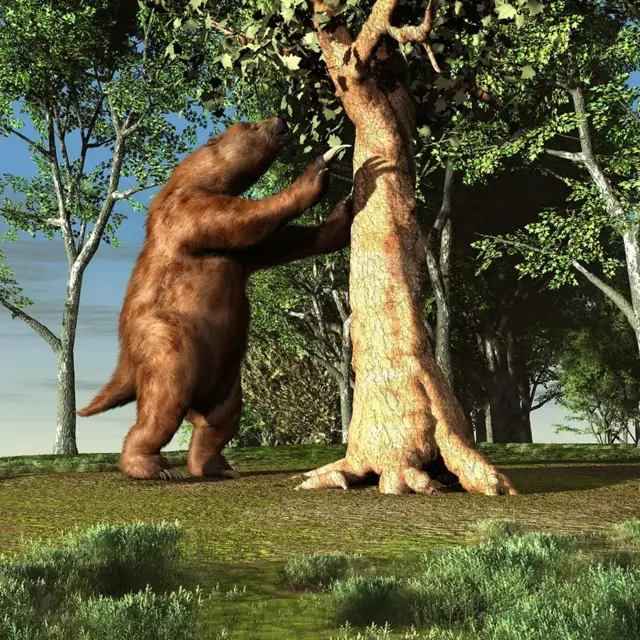 பெரும் கரடிகள் தோண்டிய சுரங்கப்பாதைகள்