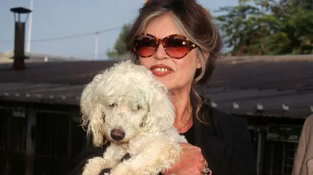 Bardot con grandes gafas de sol abraza a un perro blanco.
