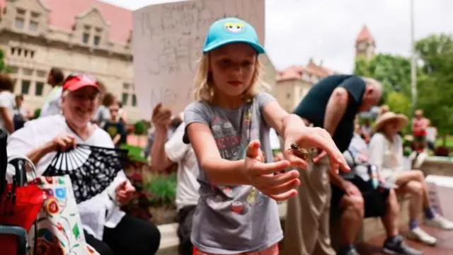 સિકાડા વૅરિઅન્ટ, કોવિડ 19, કોરોના વાઇરસ, સિકાડા વેરિઅન્ટ બાળકોને અસર કરે, સિકાડા વેરિઅન્ટ સામે વેક્સિન અસરકારક, બીબીસી ગુજરાતી સાથે સમજો, સિકાડા વેરિઅન્ટના લક્ષ્ણો, સિકાડા વેરિઅન્ટ કેટલો ઘાતક