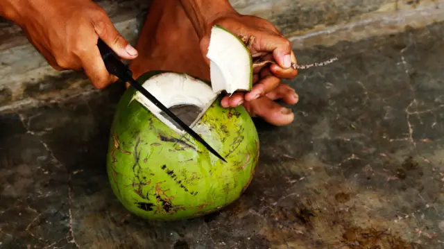 தேங்காய்க்குள் நீர் எப்படி வந்தது?