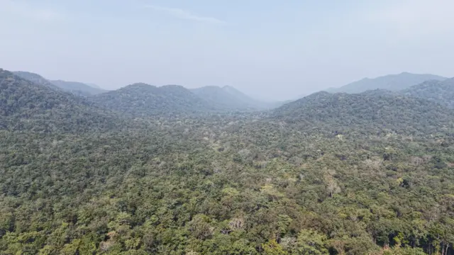 కొత్తకన్నాయిగూడెం, కావడిగుండ్ల పంచాయతీ, ఆదివాసీ కుటుంబాలు, గిరిజనులు, ఆధార్, రేషన్ కార్డ్, అడవి