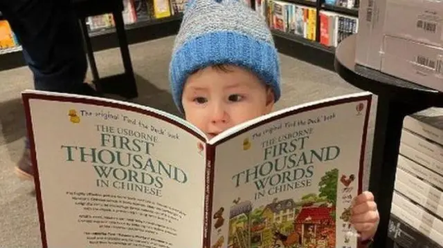 టెడ్డీ బ్రూక్స్