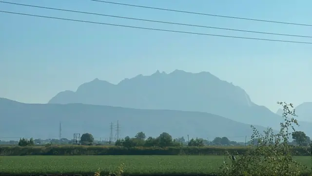 વાંદરા, માકડાં, ગુજરાત, બીબીસી ગુજરાતી, જૂનાગઢ, ગિરનાર 