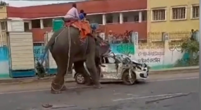 પરંતુ હાથી પર બેસવું એ આટલું ભયાનક સાબિત થશે એ કોઈએ વિચાર્યું ન હતું