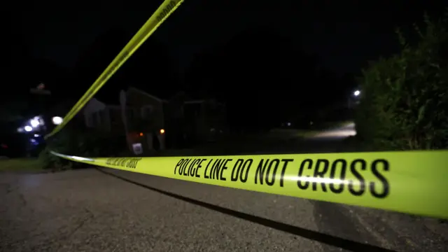 पेन्सलभिनिया