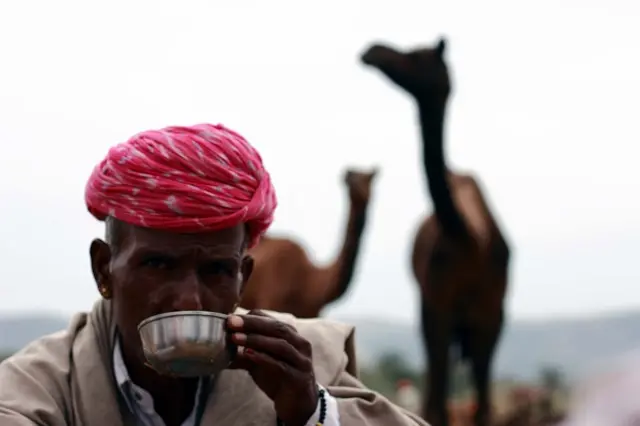 Camel Milk