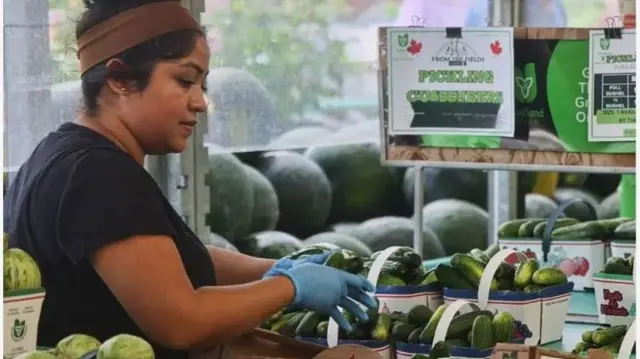 Obinrin pupa arẹwa kan fi ibọwọ alawọ aro bọ ọwọ rẹ mejeeji, o n to cucumber sinu apẹẹrẹ kekere lorii pẹpẹ. Awọn eso miran bii watermelon wa ninu aworan naa pẹlu. Obinrin naa wọ aṣọ dudu, o si fi ọja kekere alawọ erupẹ we ori rẹ.