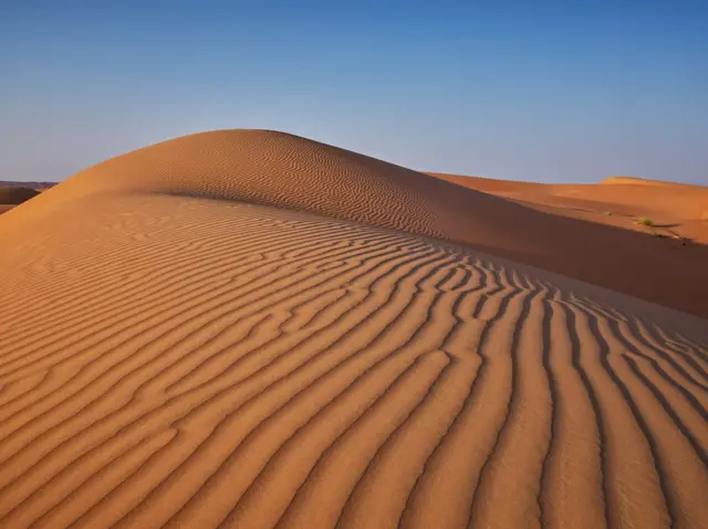 பாலைவன மணல் மேடுகள்