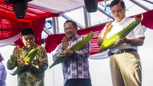 Menteri Koordinator Bidang Kemaritiman dan Investasi, Luhut Panjaitan, setidaknya sudah dua kali mengutarakan rencana pemerintah untuk memasukkan perwira TNI aktif di kementerian, instansi, atau lembaga pemerintah. 