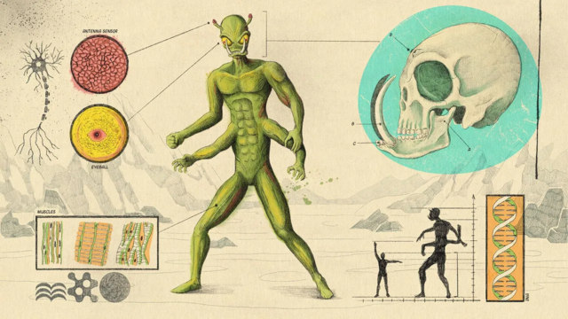 Alienígena en la Tierra: científicos descubrieron una criatura similar a  E.T.