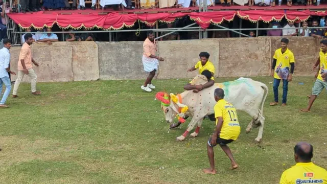 இலங்கையில் மீண்டும் ஜல்லிக்கட்டு