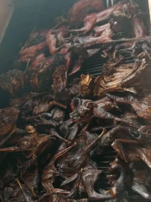 Volaille fumée sur le gril