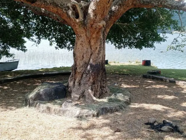 Namoonni kunneen muka guddaa cinaa Hora Harsadii jiru jalatti marsanii marga jiidhaa afuun itti marsanii ''waan duudhaa keenyaati'' jechuun sirna raawwatu