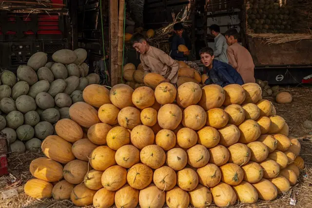 د افغانستان خټکي