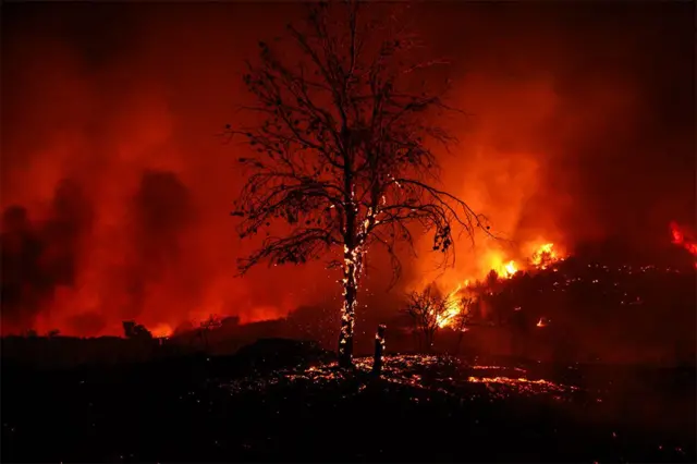 ã‚®ãƒªã‚·ãƒ£æ±ã‚¢ãƒƒãƒ†ã‚£ã‚«çœŒã®å±±ç«äº‹ï¼ˆ8æœˆ11æ—¥ï¼‰