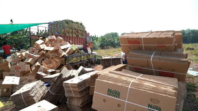 భారత్, ఆంధ్రప్రదేశ్, అరటి, రైతులు, అమెరికా, ఇరాన్, మిడిల్ ఈస్ట్