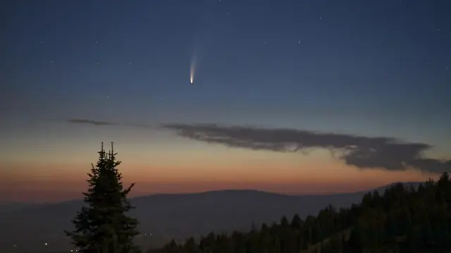 நியோவைஸ் வால் நட்சத்திரம்