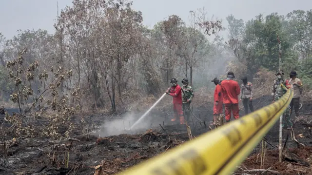 Petugas Kepolisian Polres Kampar dibantu Satgas Karhutla Riau memasang garis polisi saat menyegel lahan seluas lima hektare yang terbakar di Desa Rimbo Panjang, Kabupaten Kampar, Riau, Sabtu (22/8/2026).