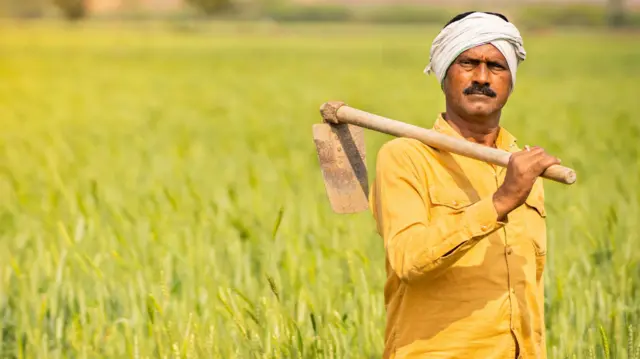 प्रातिनिधिक फोटो