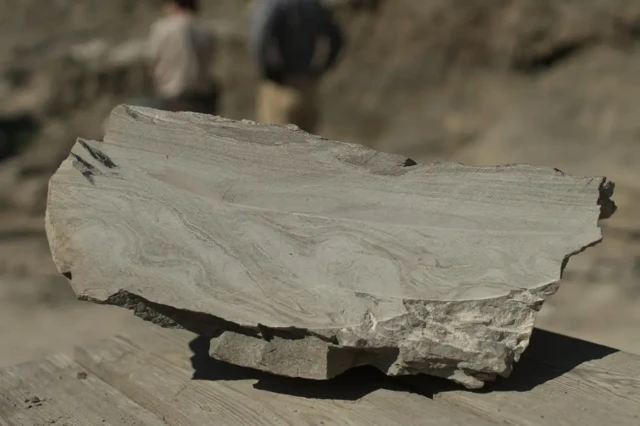 یک تخته سنگ کشف شده که روی آن نقش موج دیده می‌شود