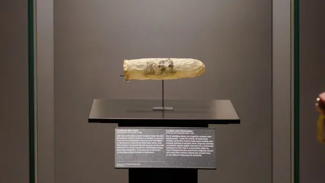 200 ஆண்டு பழமையான ஆணுறை