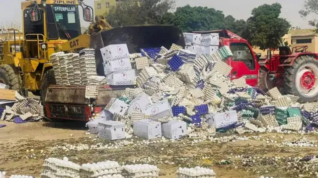 රෆා පිවිසුම් මාර්ගය ආධාර සඳහා වසා දමා ඇති බැවින් විශාල යන්ත්‍රෝපකරණ මගින් ආධාර අතර තිබූ නරක් වූ බිත්තර ඉවත් කරයි