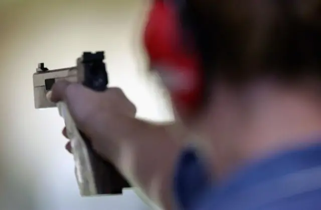 Gun