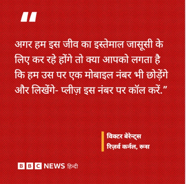 ग्राफिक्स कार्ड