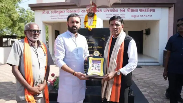 ગોપાલ ઇટાલિયા, ભાજપ, જયેશ રાદડિયા, જવાહર ચાવડા, બીબીસી ગુજરાતી