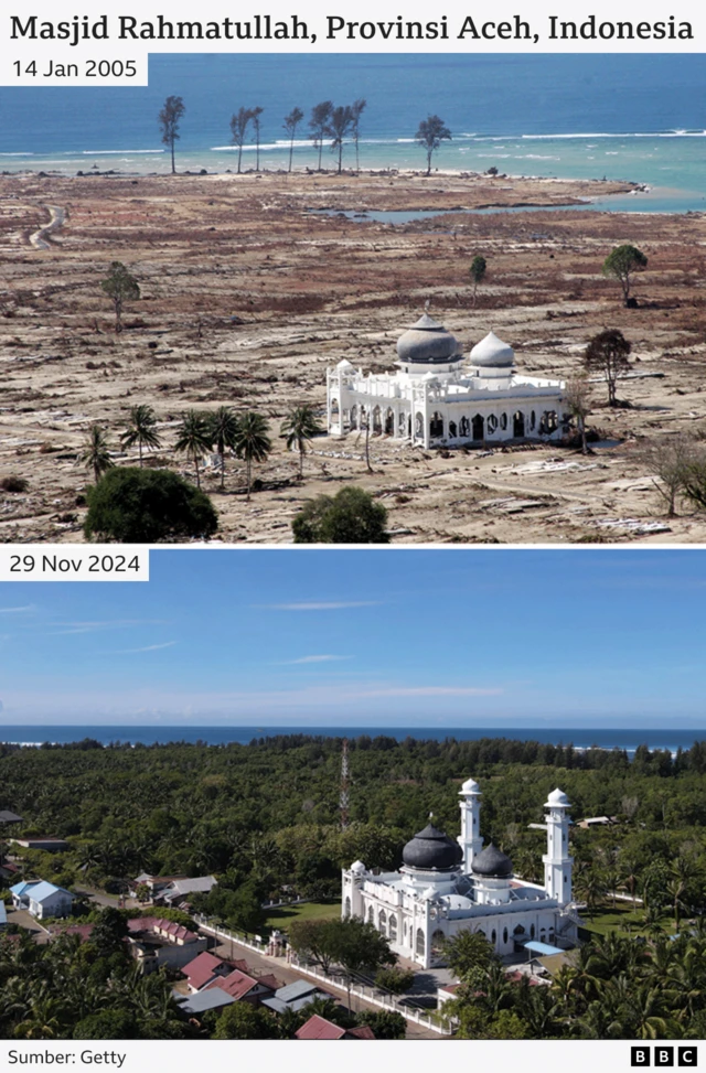 tsunami 20 tahun di indonesia