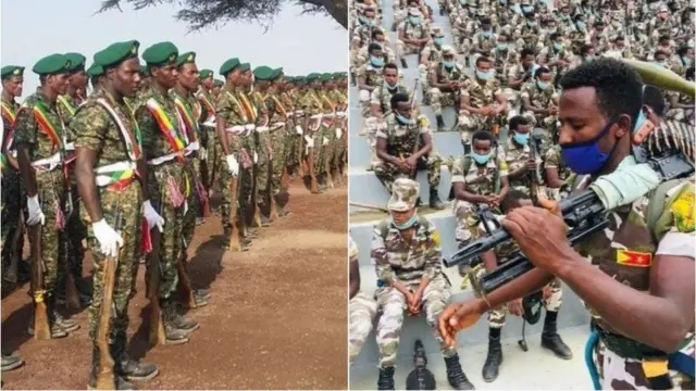 ኣባላት ፍሉይ ሓይሊ ኦሮምያን ትግራይን