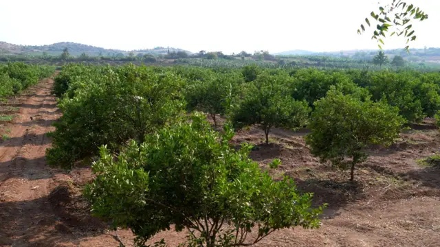 అనంతపురం