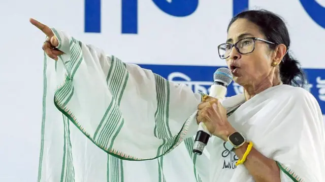 মমতা ব্যানার্জী জনসভায় মাইক হাতে ভাষণ দিচ্ছেন — ফাইল ছবি। 