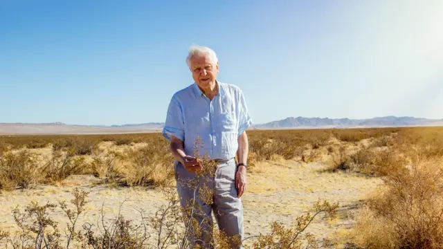 Attenborough de pie en un paisaje desértico, sosteniendo una planta seca bajo un cielo despejado.