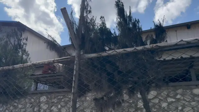 له امید کمپه مو ان په د شاو خوا شپږ یا اووه سوه مترو په واټن کې د بم یوه کوچنۍ ټوټه او ان سوځېدلې ونې ولیدلې.