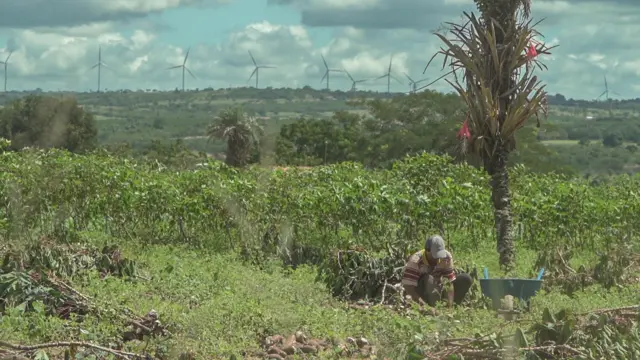 agricultor trabalhando com torres ao fundo