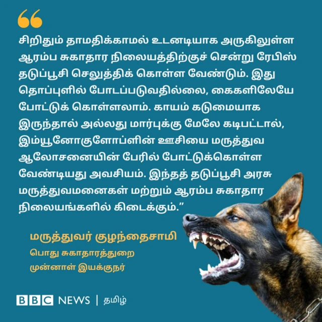ரேபிஸ் தடுப்பூசி குறித்துப் பேசியபோது, “சிறிதும் தாமதிக்காமல் உடனடியாக அருகிலுள்ள ஆரம்ப சுகாதார நிலையத்திற்குச் சென்று ரேபிஸ் தடுப்பூசி செலுத்திக் கொள்ள வேண்டும். இந்த ஊசிகள் தொப்புளில் போடப்படுவதில்லை, கைகளிலேயே போட்டுக் கொள்ளலாம். ரத்தம் வெளியேறும் அளவுக்கு காயம் கடுமையாக இருந்தாலோ அல்லது மார்பு மற்றும் அதற்கு மேலே கடிபட்டாலோ, மருத்துவ ஆலோசனையின் பேரில் இம்யூனோகுளோப்ளின் ஊசியும் போட்டுக்கொள்ள வேண்டியது அவசியம். இந்தத் தடுப்பூசி அனைத்து அரசு மருத்துவமனைகளிலும், ஆரம்ப சுகாதார நிலையங்களிலும் கிடைக்கும்,” என்றார் மருத்துவர் குழந்தைசாமி.