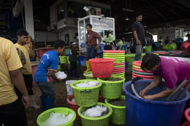 ထိုင်းနိုင်ငံမှာအလုပ်လုပ်နေကြတဲ့ မြန်မာလုပ်သားတွေမြင်ကွင်း (ပုံဟောင်း)