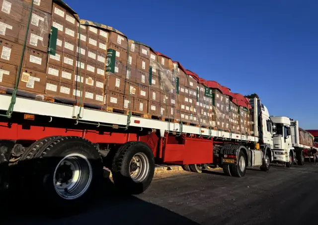 صورة تظهر شاحنات محملة بالمساعدات مصطفة في انتظار السماح لها بدخول قطاع غزة عبر معبر رفح