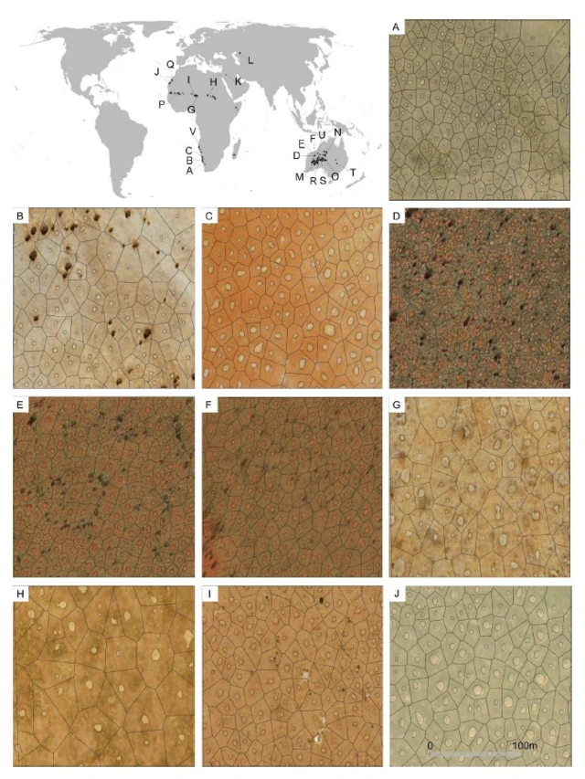 Un gráfico con los círculos de hadas detectados