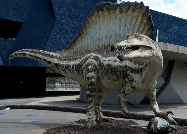 Un spinosaure