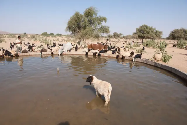 संग्रहित छायाचित्र