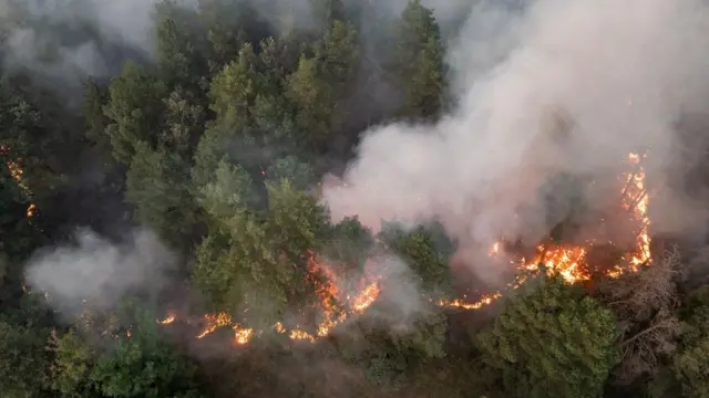 požari u srbiji, požar u deliblatskoj peščari, gašenje požara