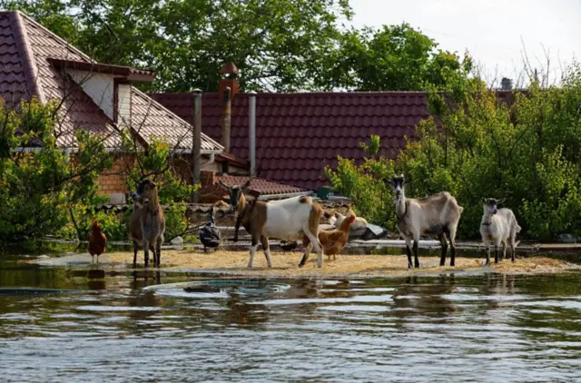 Затопленный берег деревни
