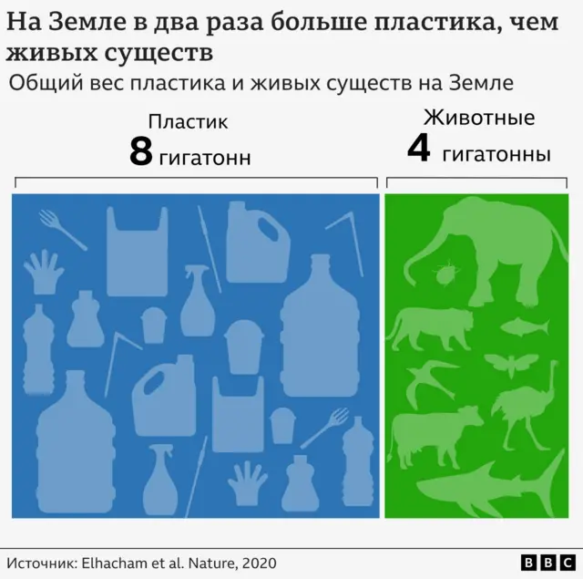 график — соотношение пластика и животных