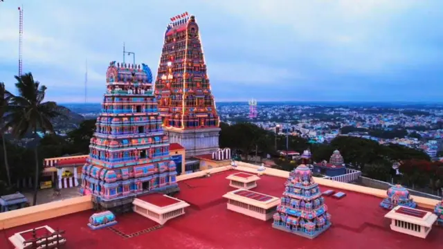 உணவில் பாம்பு, கிருஷ்ணகிரி செய்திகள், ஒசூர் செய்திகள், பாம்பு