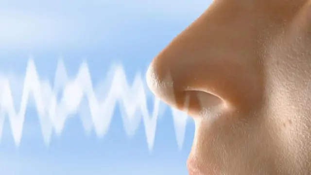 नाकको प्वालले पालो गर्ने काम स्वचालित हुन्छ र हाइपोथलमसले नियन्त्रण गरेको हुन्छ