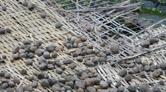 ਗੋਟਮਾਰ ਮੇਲਾ