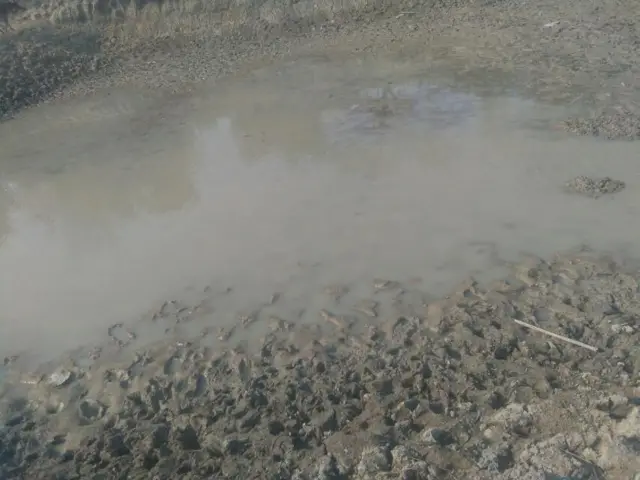 ရေခမ်းခြောက်